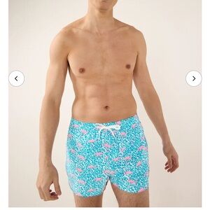 Chubbies Classic Swim Trunk The Domingos are Flamingos Small